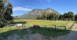 Mountain view from Rosebud River Ranch — visible from the on-property Hipcamp